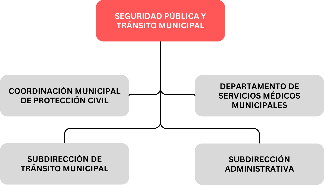 org_int