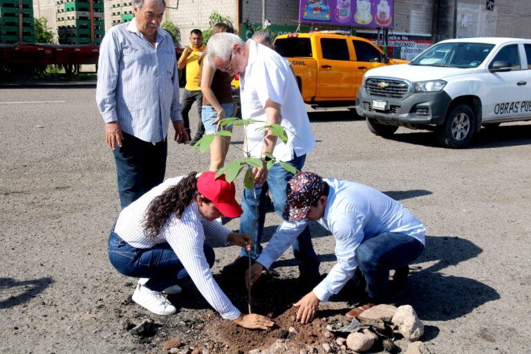 Gobierno de Escuinapa conmemora el Día Nacional del Árbol con jornada de arborización