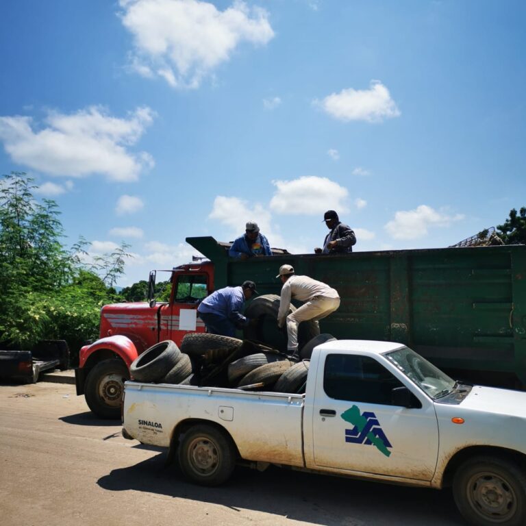 Retiran 10 toneladas de cacharros en la colonia Ampliación Benito Juárez durante jornada de descacharrización
